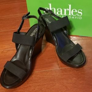 Charles David Sandal